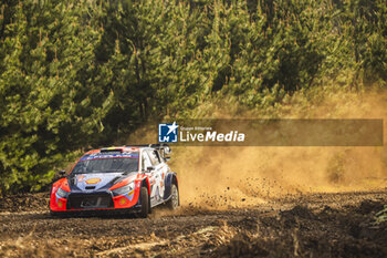 26/09/2024 - 11 NEUVILLE Thierry, WYDAEGHE Martijn, Hyundai I20 Rally1, action during the Rally Chile 2024, 11th round of the 2024 WRC World Rally Car Championship, from September 26 to 29, 2024 at Concepcion, Chile - AUTO - WRC - RALLY CHILE 2024 - RALLY - MOTORI