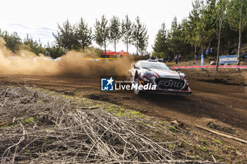 26/09/2024 - 22 SESKS Mārtiņš, FRANCIS Renārs, Ford Puma Rally1, action during the Rally Chile 2024, 11th round of the 2024 WRC World Rally Car Championship, from September 26 to 29, 2024 at Concepcion, Chile - AUTO - WRC - RALLY CHILE 2024 - RALLY - MOTORI