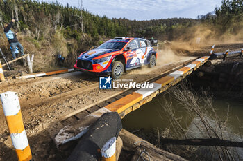 26/09/2024 - 08 TANAK Ott, JARVEOJA Martin, Hyundai I20 Rally1, action during the Rally Chile 2024, 11th round of the 2024 WRC World Rally Car Championship, from September 26 to 29, 2024 at Concepcion, Chile - AUTO - WRC - RALLY CHILE 2024 - RALLY - MOTORI