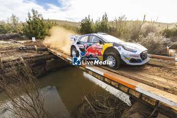 26/09/2024 - 13 MUNSTER Gregoire, LOUKA Louis, Ford Puma Rally1, action during the Rally Chile 2024, 11th round of the 2024 WRC World Rally Car Championship, from September 26 to 29, 2024 at Concepcion, Chile - AUTO - WRC - RALLY CHILE 2024 - RALLY - MOTORI