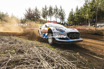 26/09/2024 - 13 MUNSTER Gregoire, LOUKA Louis, Ford Puma Rally1, action during the Rally Chile 2024, 11th round of the 2024 WRC World Rally Car Championship, from September 26 to 29, 2024 at Concepcion, Chile - AUTO - WRC - RALLY CHILE 2024 - RALLY - MOTORI