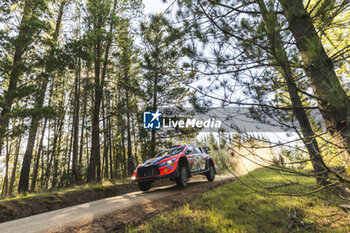 27/09/2024 - 11 NEUVILLE Thierry, WYDAEGHE Martijn, Hyundai I20 Rally1, action during the Rally Chile 2024, 11th round of the 2024 WRC World Rally Car Championship, from September 26 to 29, 2024 at Concepcion, Chile - AUTO - WRC - RALLY CHILE 2024 - RALLY - MOTORI