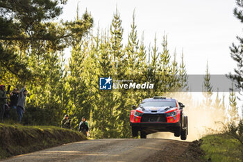 27/09/2024 - 08 TANAK Ott, JARVEOJA Martin, Hyundai I20 Rally1, action during the Rally Chile 2024, 11th round of the 2024 WRC World Rally Car Championship, from September 26 to 29, 2024 at Concepcion, Chile - AUTO - WRC - RALLY CHILE 2024 - RALLY - MOTORI