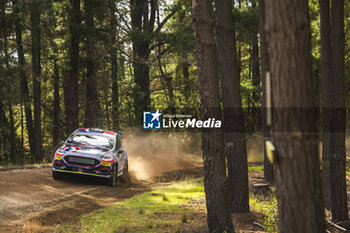 27/09/2024 - 40 CASTRO Eduardo, VALLEJO Diego, Ford Fiesta Rally3, action during the Rally Chile 2024, 11th round of the 2024 WRC World Rally Car Championship, from September 26 to 29, 2024 at Concepcion, Chile - AUTO - WRC - RALLY CHILE 2024 - RALLY - MOTORI