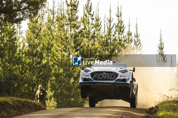 27/09/2024 - 13 MUNSTER Gregoire, LOUKA Louis, Ford Puma Rally1, action during the Rally Chile 2024, 11th round of the 2024 WRC World Rally Car Championship, from September 26 to 29, 2024 at Concepcion, Chile - AUTO - WRC - RALLY CHILE 2024 - RALLY - MOTORI