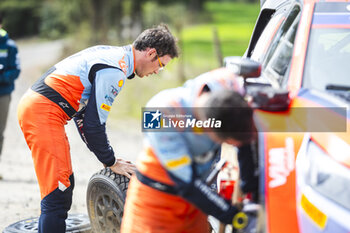 27/09/2024 - NEUVILLE Thierry, Hyundai I20 Rally1, portrait during the Rally Chile 2024, 11th round of the 2024 WRC World Rally Car Championship, from September 26 to 29, 2024 at Concepcion, Chile - AUTO - WRC - RALLY CHILE 2024 - RALLY - MOTORI