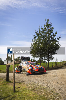 27/09/2024 - NEUVILLE Thierry, Hyundai I20 Rally1, portrait during the Rally Chile 2024, 11th round of the 2024 WRC World Rally Car Championship, from September 26 to 29, 2024 at Concepcion, Chile - AUTO - WRC - RALLY CHILE 2024 - RALLY - MOTORI