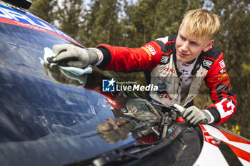 27/09/2024 - PAJARI Sami, Toyota GR Yaris Rally1, portrait during the Rally Chile 2024, 11th round of the 2024 WRC World Rally Car Championship, from September 26 to 29, 2024 at Concepcion, Chile - AUTO - WRC - RALLY CHILE 2024 - RALLY - MOTORI