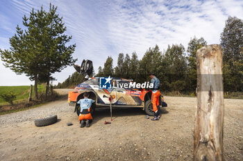 27/09/2024 - NEUVILLE Thierry, Hyundai I20 Rally1, portrait during the Rally Chile 2024, 11th round of the 2024 WRC World Rally Car Championship, from September 26 to 29, 2024 at Concepcion, Chile - AUTO - WRC - RALLY CHILE 2024 - RALLY - MOTORI