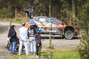 27/09/2024 - 11 NEUVILLE Thierry, WYDAEGHE Martijn, Hyundai I20 Rally1, ambiance during the Rally Chile 2024, 11th round of the 2024 WRC World Rally Car Championship, from September 26 to 29, 2024 at Concepcion, Chile - AUTO - WRC - RALLY CHILE 2024 - RALLY - MOTORI