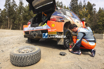 27/09/2024 - NEUVILLE Thierry, Hyundai I20 Rally1, portrait during the Rally Chile 2024, 11th round of the 2024 WRC World Rally Car Championship, from September 26 to 29, 2024 at Concepcion, Chile - AUTO - WRC - RALLY CHILE 2024 - RALLY - MOTORI