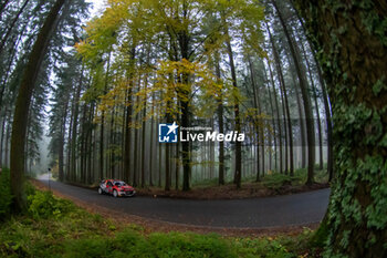 2024-10-18 - Nikolay GRYAZIN(Bgr)Konstantin ALEKSANDROV(Ana) on a CITROEN C3 of a team DG SPORT COMPETITION during WRC Central European Rally 17-20 October 2024 - WRC CENTRAL EUROPEAN RALLY - RALLY - MOTORS