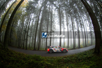 2024-10-18 - Ott TÄNAK(Est),Martin JÄRVEOJA(Est) on a HYUNDAI i20 N Rally1 HYBRID of a team HYUNDAI SHELL MOBIS WORLD RALLY TEAM during WRC Central European Rally 17-20 October 2024 - WRC CENTRAL EUROPEAN RALLY - RALLY - MOTORS