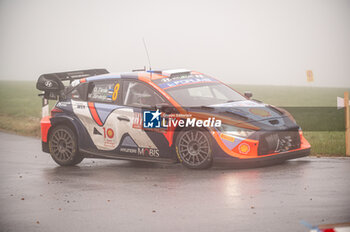 2024-10-19 - Ott TÄNAK(Est),Martin JÄRVEOJA(Est) on a HYUNDAI i20 N Rally1 HYBRID of a team HYUNDAI SHELL MOBIS WORLD RALLY TEAM during WRC Central European Rally 17-20 October 2024 - WRC CENTRAL EUROPEAN RALLY - RALLY - MOTORS