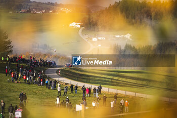 2024-10-20 - 11 NEUVILLE Thierry, WYDAEGHE Martijn, Hyundai I20 Rally1, action during the Central European Rally 2024, 12th round of the 2024 WRC World Rally Car Championship, from October 17 to 20, 2024 at Bad Griesbach, Germany - AUTO - WRC - CENTRAL EUROPEAN RALLY 2024 - RALLY - MOTORS