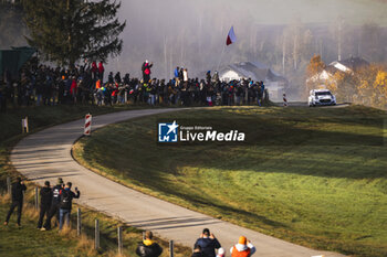 2024-10-20 - 19 SERDERIDIS Jourdan, MICLOTTE Frédéric, Ford Puma Rally1, action during the Central European Rally 2024, 12th round of the 2024 WRC World Rally Car Championship, from October 17 to 20, 2024 at Bad Griesbach, Germany - AUTO - WRC - CENTRAL EUROPEAN RALLY 2024 - RALLY - MOTORS