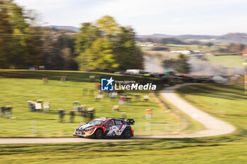 2024-10-20 - 08 TANAK Ott, JARVEOJA Martin, Hyundai I20 Rally1, action during the Central European Rally 2024, 12th round of the 2024 WRC World Rally Car Championship, from October 17 to 20, 2024 at Bad Griesbach, Germany - AUTO - WRC - CENTRAL EUROPEAN RALLY 2024 - RALLY - MOTORS