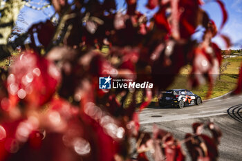 21/11/2024 - 17 OGIER Sebastien, LANDAIS Vincent, Toyota GR Yaris Rally1, action during the Rally Japan 2024, 13th round of the 2024 WRC World Rally Car Championship, from November 21 to 24, 2024 at Toyota, Aichi, Japan - AUTO - WRC - RALLY JAPAN 2024 - RALLY - MOTORI