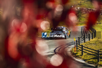 21/11/2024 - 16 FOURMAUX Adrien, CORIA Alexandre, Ford Puma Rally1, action during the Rally Japan 2024, 13th round of the 2024 WRC World Rally Car Championship, from November 21 to 24, 2024 at Toyota, Aichi, Japan - AUTO - WRC - RALLY JAPAN 2024 - RALLY - MOTORI