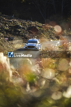 2024-11-23 - 13 MUNSTER Gregoire, LOUKA Louis, Ford Puma Rally1, action during the Rally Japan 2024, 13th round of the 2024 WRC World Rally Car Championship, from November 21 to 24, 2024 at Toyota, Aichi, Japan - AUTO - WRC - RALLY JAPAN 2024 - RALLY - MOTORS