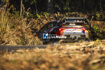 2024-11-23 - 08 TANAK Ott, JARVEOJA Martin, Hyundai I20 Rally1, action during the Rally Japan 2024, 13th round of the 2024 WRC World Rally Car Championship, from November 21 to 24, 2024 at Toyota, Aichi, Japan - AUTO - WRC - RALLY JAPAN 2024 - RALLY - MOTORS