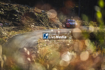 2024-11-23 - 11 NEUVILLE Thierry, WYDAEGHE Martijn, Hyundai I20 Rally1, action during the Rally Japan 2024, 13th round of the 2024 WRC World Rally Car Championship, from November 21 to 24, 2024 at Toyota, Aichi, Japan - AUTO - WRC - RALLY JAPAN 2024 - RALLY - MOTORS