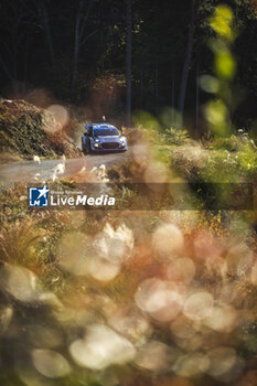 2024-11-23 - 13 MUNSTER Gregoire, LOUKA Louis, Ford Puma Rally1, action during the Rally Japan 2024, 13th round of the 2024 WRC World Rally Car Championship, from November 21 to 24, 2024 at Toyota, Aichi, Japan - AUTO - WRC - RALLY JAPAN 2024 - RALLY - MOTORS