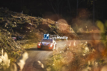 2024-11-23 - 08 TANAK Ott, JARVEOJA Martin, Hyundai I20 Rally1, action during the Rally Japan 2024, 13th round of the 2024 WRC World Rally Car Championship, from November 21 to 24, 2024 at Toyota, Aichi, Japan - AUTO - WRC - RALLY JAPAN 2024 - RALLY - MOTORS