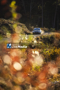 2024-11-23 - 21 GRYAZIN Nikolay, ALEKSANDROV Konstantin, Citroen C3 Rally2, action during the Rally Japan 2024, 13th round of the 2024 WRC World Rally Car Championship, from November 21 to 24, 2024 at Toyota, Aichi, Japan - AUTO - WRC - RALLY JAPAN 2024 - RALLY - MOTORS