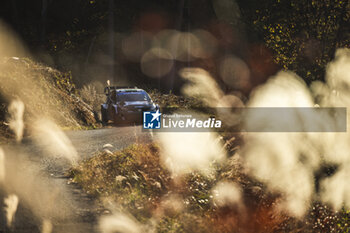 2024-11-23 - 33 EVANS Elfyn, MARTIN Scott, Toyota GR Yaris Rally1, action during the Rally Japan 2024, 13th round of the 2024 WRC World Rally Car Championship, from November 21 to 24, 2024 at Toyota, Aichi, Japan - AUTO - WRC - RALLY JAPAN 2024 - RALLY - MOTORS