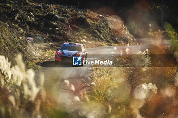 2024-11-23 - 11 NEUVILLE Thierry, WYDAEGHE Martijn, Hyundai I20 Rally1, action during the Rally Japan 2024, 13th round of the 2024 WRC World Rally Car Championship, from November 21 to 24, 2024 at Toyota, Aichi, Japan - AUTO - WRC - RALLY JAPAN 2024 - RALLY - MOTORS