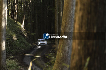 2024-11-24 - 13 MUNSTER Gregoire, LOUKA Louis, Ford Puma Rally1, action during the Rally Japan 2024, 13th round of the 2024 WRC World Rally Car Championship, from November 21 to 24, 2024 at Toyota, Aichi, Japan - AUTO - WRC - RALLY JAPAN 2024 - RALLY - MOTORS