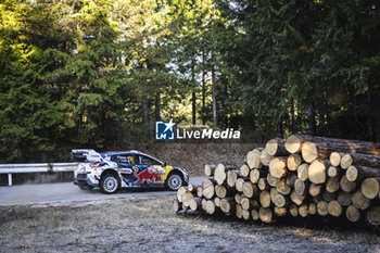 2024-11-24 - 16 FOURMAUX Adrien, CORIA Alexandre, Ford Puma Rally1, action during the Rally Japan 2024, 13th round of the 2024 WRC World Rally Car Championship, from November 21 to 24, 2024 at Toyota, Aichi, Japan - AUTO - WRC - RALLY JAPAN 2024 - RALLY - MOTORS