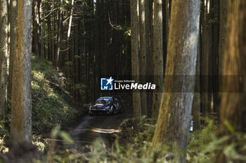 2024-11-24 - 33 EVANS Elfyn, MARTIN Scott, Toyota GR Yaris Rally1, action during the Rally Japan 2024, 13th round of the 2024 WRC World Rally Car Championship, from November 21 to 24, 2024 at Toyota, Aichi, Japan - AUTO - WRC - RALLY JAPAN 2024 - RALLY - MOTORS