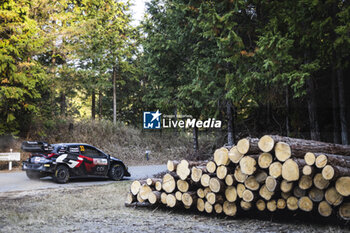 2024-11-24 - 33 EVANS Elfyn, MARTIN Scott, Toyota GR Yaris Rally1, action during the Rally Japan 2024, 13th round of the 2024 WRC World Rally Car Championship, from November 21 to 24, 2024 at Toyota, Aichi, Japan - AUTO - WRC - RALLY JAPAN 2024 - RALLY - MOTORS