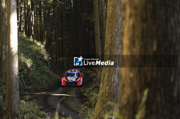 2024-11-24 - 11 NEUVILLE Thierry, WYDAEGHE Martijn, Hyundai I20 Rally1, action during the Rally Japan 2024, 13th round of the 2024 WRC World Rally Car Championship, from November 21 to 24, 2024 at Toyota, Aichi, Japan - AUTO - WRC - RALLY JAPAN 2024 - RALLY - MOTORS