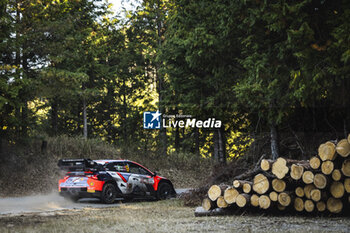 2024-11-24 - 09 MIKKELSEN Andreas, ERIKSEN Torstein, Hyundai I20 Rally1, action during the Rally Japan 2024, 13th round of the 2024 WRC World Rally Car Championship, from November 21 to 24, 2024 at Toyota, Aichi, Japan - AUTO - WRC - RALLY JAPAN 2024 - RALLY - MOTORS