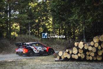 2024-11-24 - 11 NEUVILLE Thierry, WYDAEGHE Martijn, Hyundai I20 Rally1, action during the Rally Japan 2024, 13th round of the 2024 WRC World Rally Car Championship, from November 21 to 24, 2024 at Toyota, Aichi, Japan - AUTO - WRC - RALLY JAPAN 2024 - RALLY - MOTORS