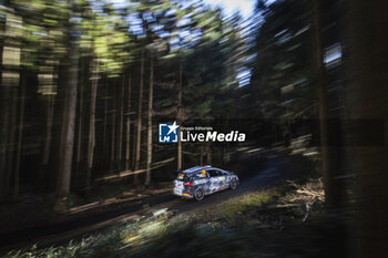 2024-11-24 - 39 DOMINGUEZ Diego, PEÑATE Rogelio, Ford Fiesta Rally3, action during the Rally Japan 2024, 13th round of the 2024 WRC World Rally Car Championship, from November 21 to 24, 2024 at Toyota, Aichi, Japan - AUTO - WRC - RALLY JAPAN 2024 - RALLY - MOTORS