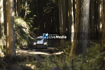 2024-11-24 - 39 DOMINGUEZ Diego, PEÑATE Rogelio, Ford Fiesta Rally3, action during the Rally Japan 2024, 13th round of the 2024 WRC World Rally Car Championship, from November 21 to 24, 2024 at Toyota, Aichi, Japan - AUTO - WRC - RALLY JAPAN 2024 - RALLY - MOTORS