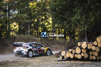 2024-11-24 - 13 MUNSTER Gregoire, LOUKA Louis, Ford Puma Rally1, action during the Rally Japan 2024, 13th round of the 2024 WRC World Rally Car Championship, from November 21 to 24, 2024 at Toyota, Aichi, Japan - AUTO - WRC - RALLY JAPAN 2024 - RALLY - MOTORS