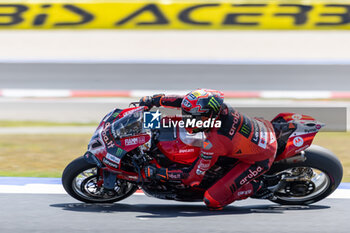 2024-06-16 - Nicolo Bulega (ITA) Ducati Panigale V4R, Aruba.It Racing - Ducati during FIM Superbike World Championship Pirelli 
Emilia-Romagna Round at Misano World Circuit, Misano Adriatico, Italy on June 16, 2024 - ROUND 04 EMILIA-ROMAGNA ROUND - SUPERPOLERACE AND RACE 2 - SUPERBIKE - MOTORS