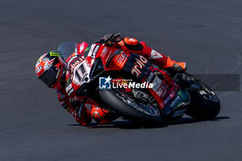 2024-06-14 - Nicolo Bulega (ITA) Ducati Panigale V4R, Aruba.It Racing - Ducati during FIM Superbike World Championship Pirelli 
Emilia-Romagna Round at Misano World Circuit, Misano Adriatico, Italy on June 14, 2024 - SBK - FREE PRACTICE PIRELLI EMILIA-ROMAGNA ROUND  - SUPERBIKE - MOTORS