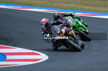 2024-06-15 - (14) Sam Lowes from United Kingdom of ELF Marc VDS Racing Team, rides Ducati Panigale V4R in action during the FIM Motul Superbike World Championship - Race 1 of Emilia Romagna Round at Marco Simoncelli World Circuit in Misano Adriatico on June 15, 2024 in Misano Adriatico, Rimini, Italy. - PIRELLI EMILIA ROMAGNA ROUND - RACE 1 - SUPERBIKE - MOTORS