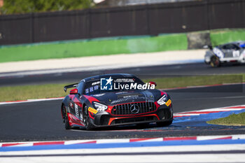 2024-05-18 - 15 PAPADOPULOS Alexandre (usa), IBANEZ TRULLOLS Liuc (spa), NM Racing Team, Mercedes-AMG GT4, action during the 2nd round of the 2024 GT4 European Series powered by Rafa Racing Club on the Misano World Circuit Marco Simoncelli, from May 17 to 19, 2024 in Misano Adriatico, Italy - AUTO - GT4 EUROPEAN SERIES MISANO 2024 - GRAND TOURISM - MOTORS