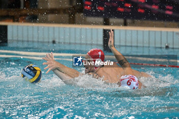 09/10/2024 - Gianmarco Nicosia (Savona) - Valerio Rizzo (Savona) - RN SAVONA VS SABADELL - LEN CUP - CHAMPIONS LEAGUE - PALLANUOTO