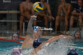 2024-11-19 - Davide Occhione (Savona)
 - Dordije Stanojevic (Primorac Kotor) - BPER R.N. SAVONA VS – VK PRIMORAC KOTOR - LEN CUP - CHAMPIONS LEAGUE - WATERPOLO