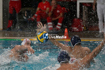 2024-11-19 - Pietro Figlioli (Savona) - Drasko Berguljan (Primorac Kotor) - BPER R.N. SAVONA VS – VK PRIMORAC KOTOR - LEN CUP - CHAMPIONS LEAGUE - WATERPOLO