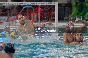 2024-11-19 - Balazs Erdelyi (Savona) - Gianmarco Nicosia (Savona) - BPER R.N. SAVONA VS – VK PRIMORAC KOTOR - LEN CUP - CHAMPIONS LEAGUE - WATERPOLO