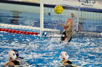 2024-11-02 - Olimpia Sesena (SIS Roma) - SIS ROMA VS PLEBISCITO PADOVA - SERIE A1 WOMEN - WATERPOLO